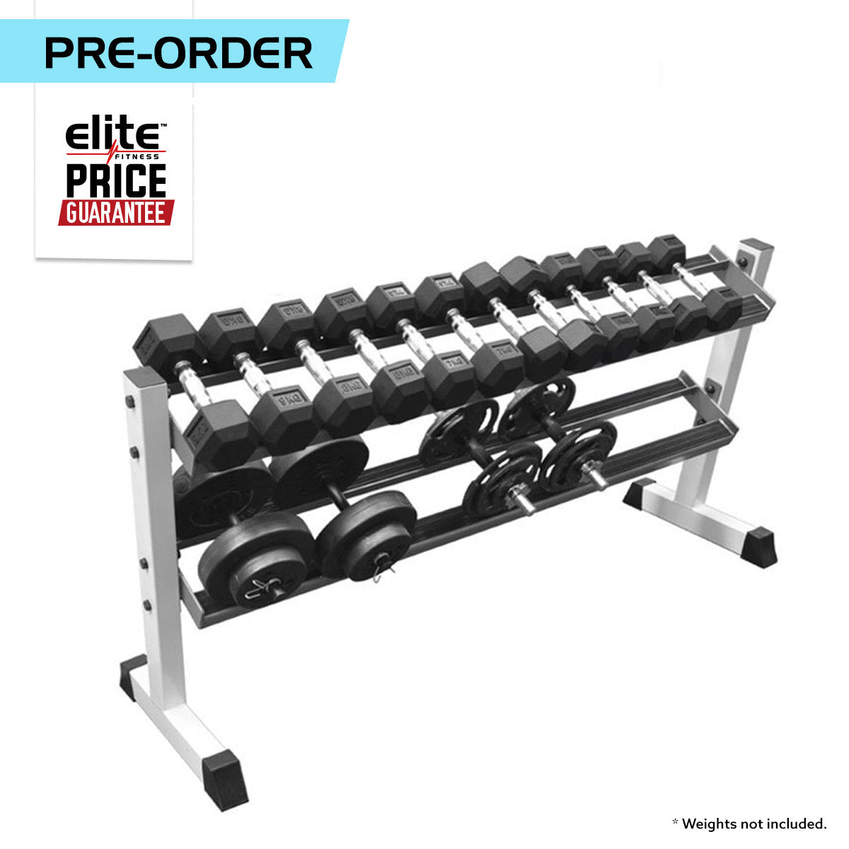 2 Tier Angled Dumbbell Rack