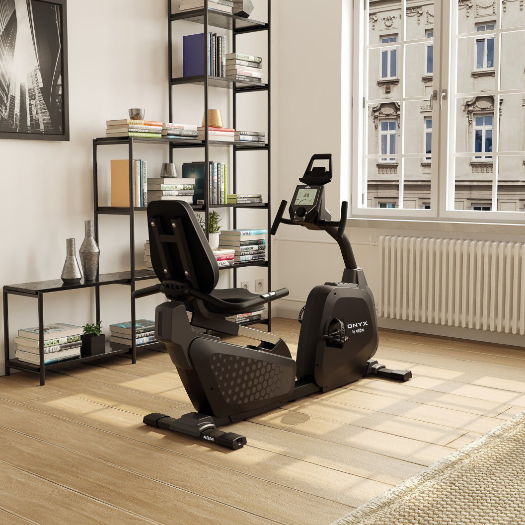 Onyx Recumbent Exercycle
