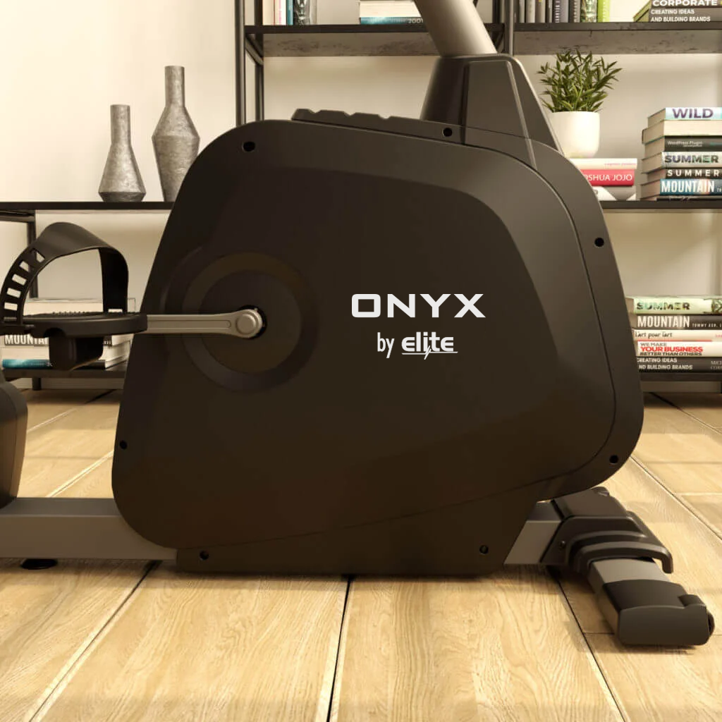 Onyx Recumbent Exercycle
