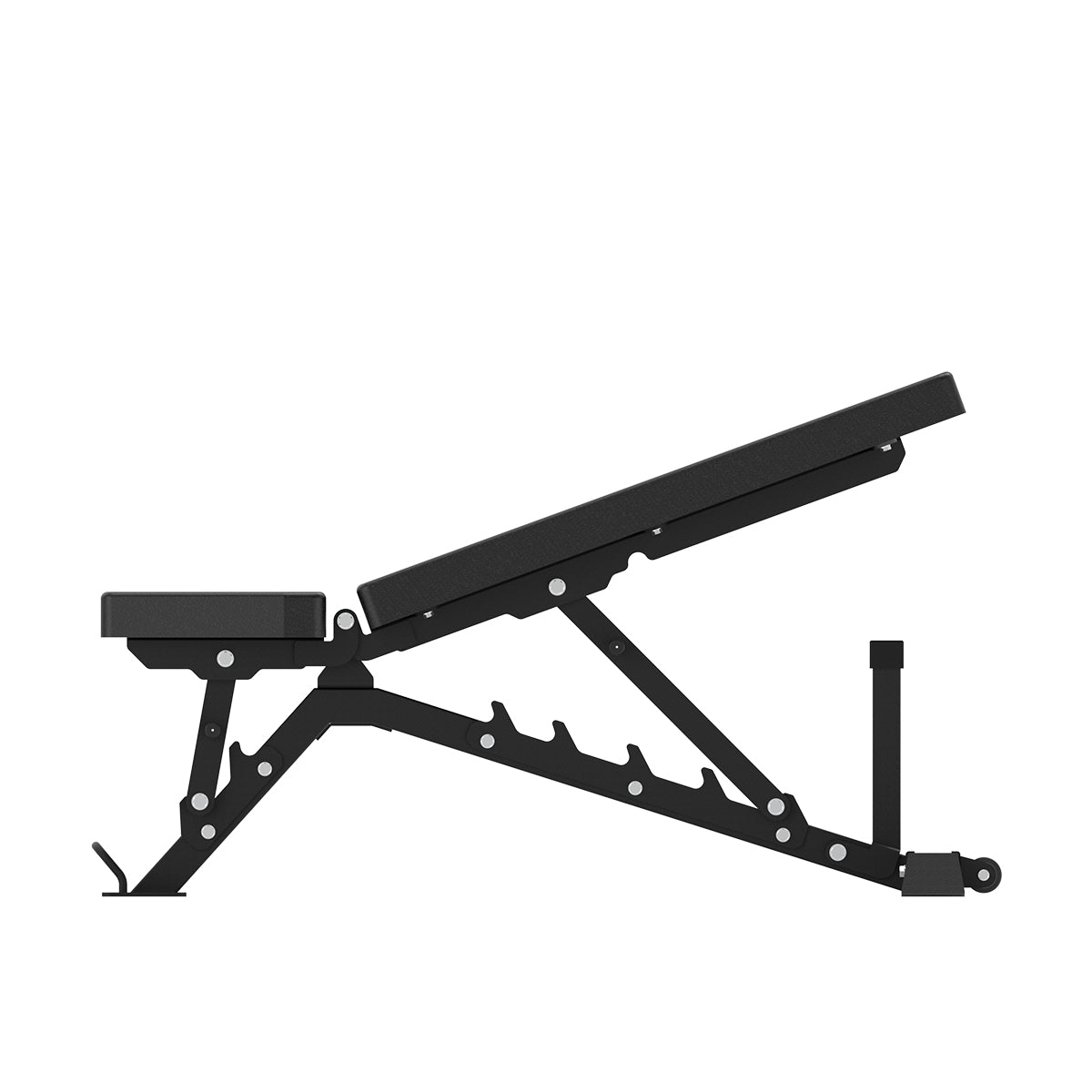 FID 5.0 Bench