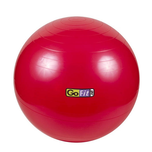Core Stabiblity Ball 55cm
