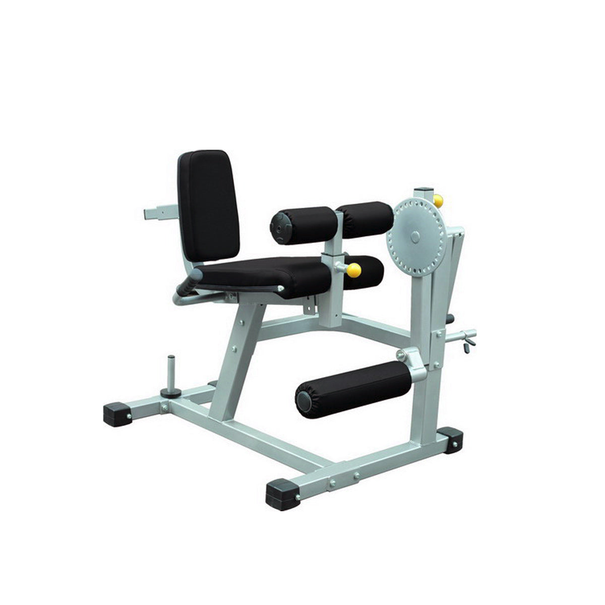 IF Seated Leg Extension / Leg Curl