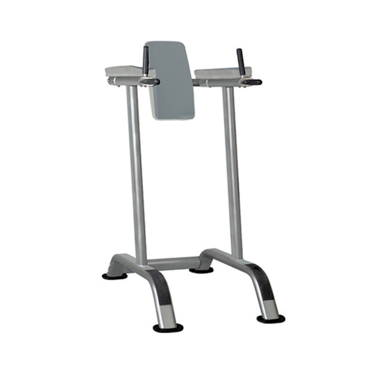 IT7010 Vertical Knee Raise