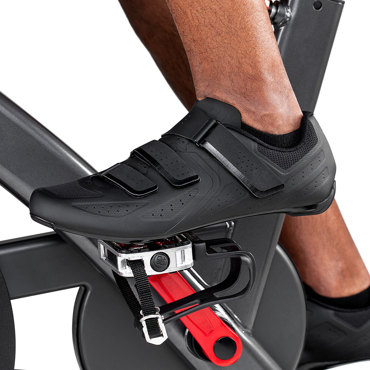 IC8 Indoor Spin Bike (800IC)