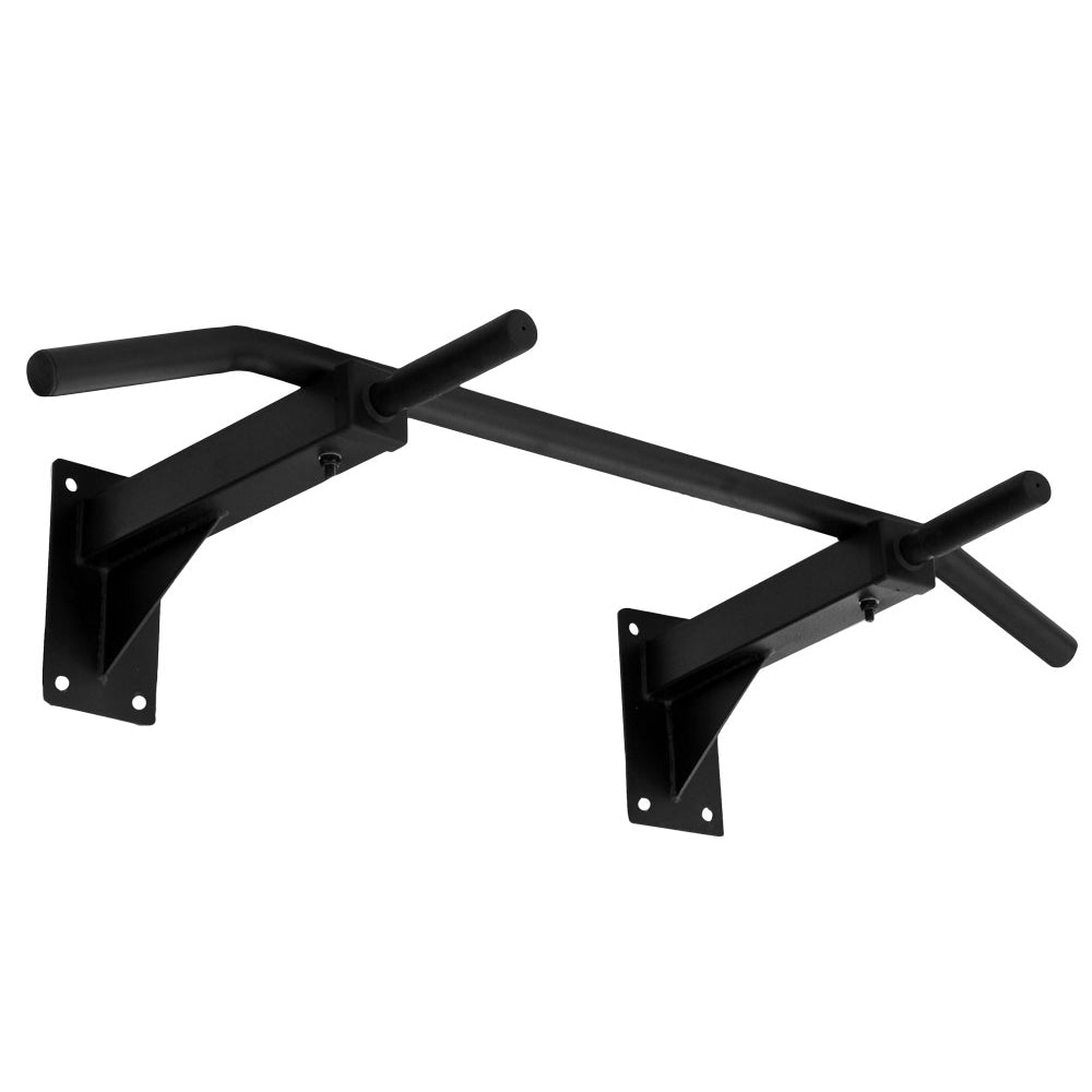 Wall Mounted Chin Up Bar