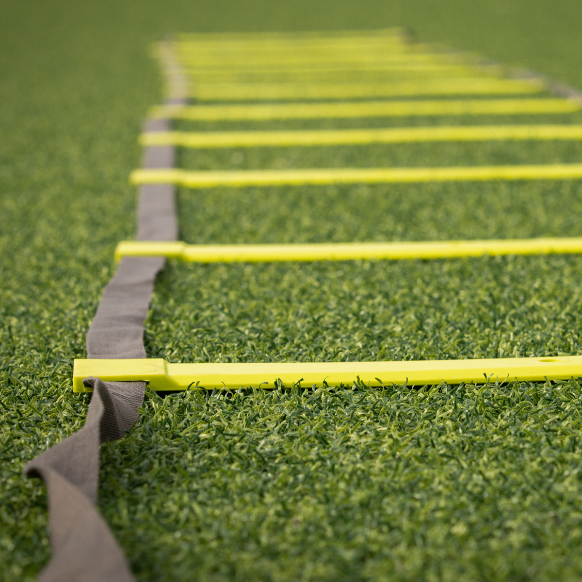Agility Ladder