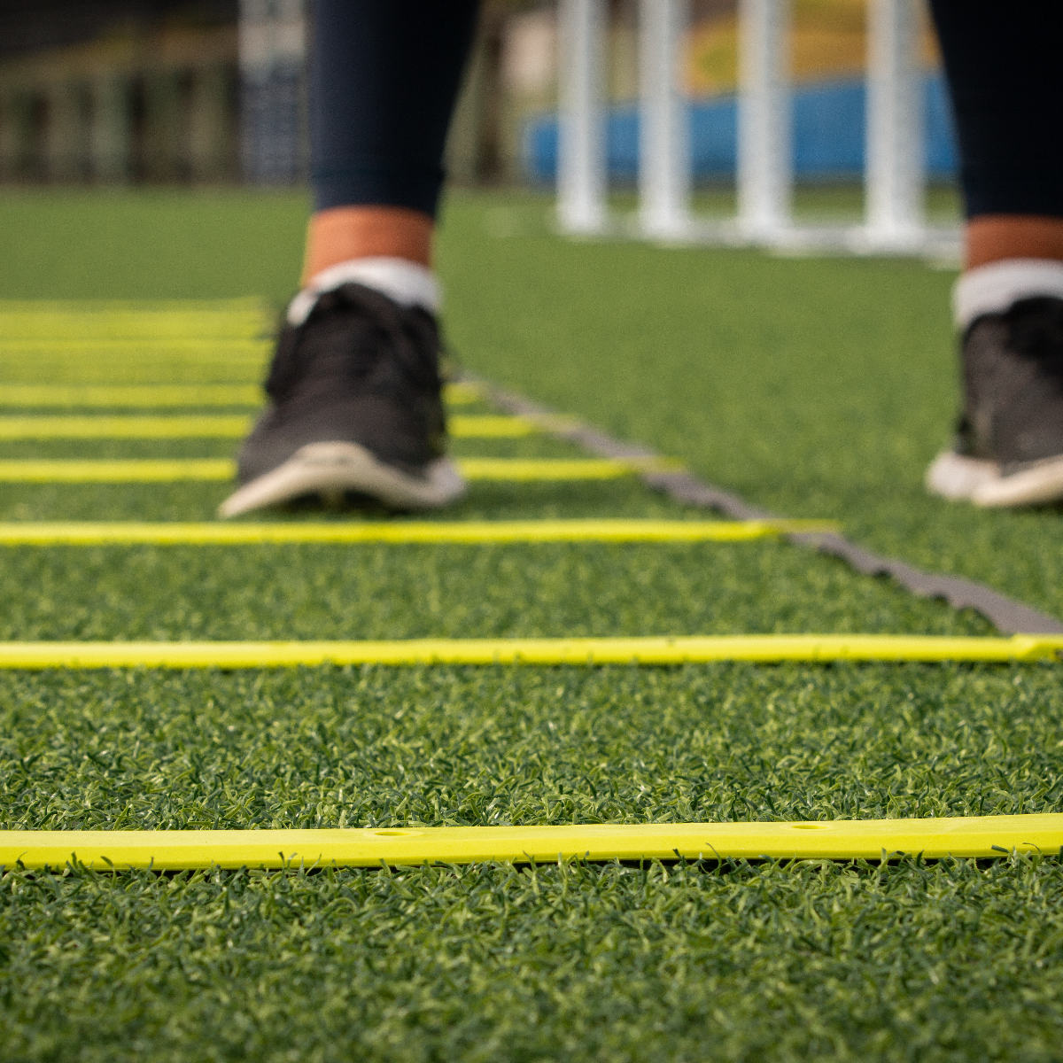 Agility Ladder