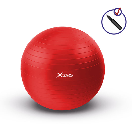 Professional Stability Gym Ball