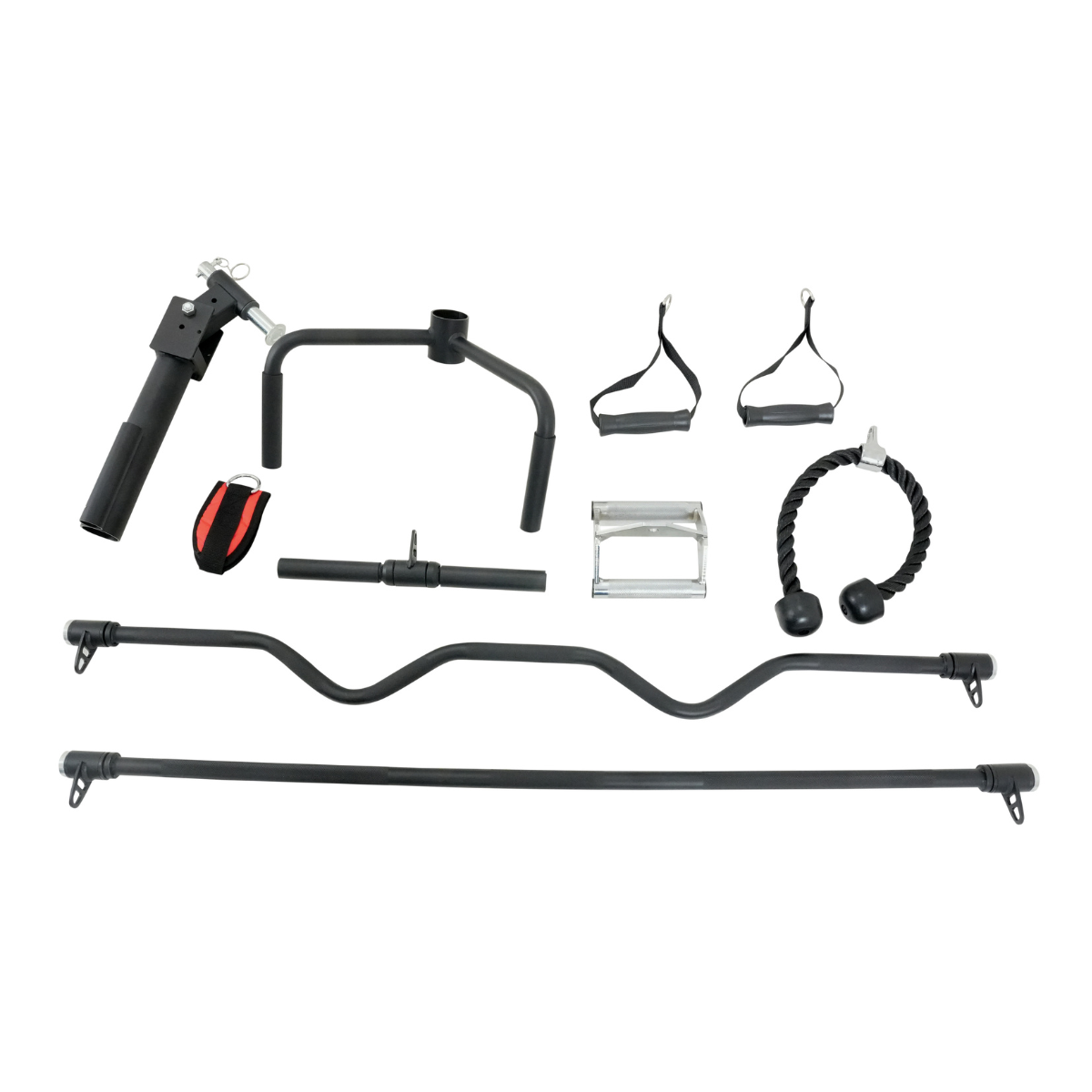 X6 Smith Cage