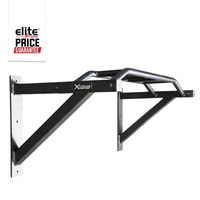 Wall Mounted Multi Pull Up Bar