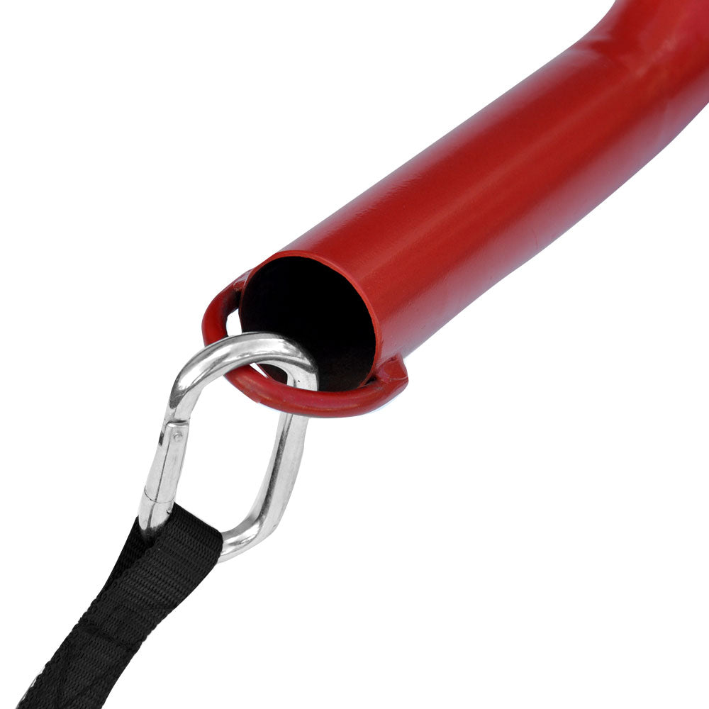 Red Sled W/ Harness