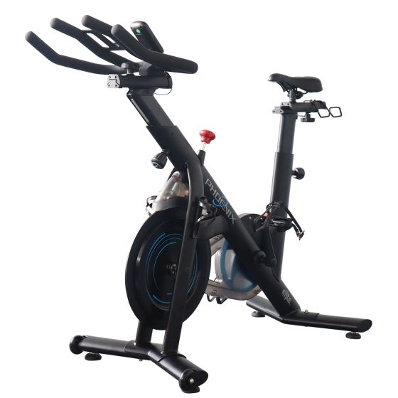 Phoenix spin bike on sale