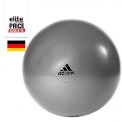 STABILITY GYMBALL - 65CM DARK GREY