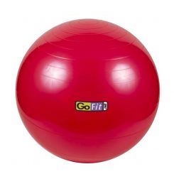 Core Stabiblity Ball 55cm