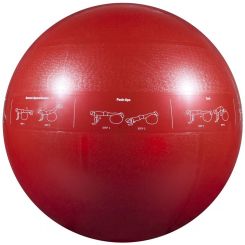 PROBALL SWISSBALL 65CM RED