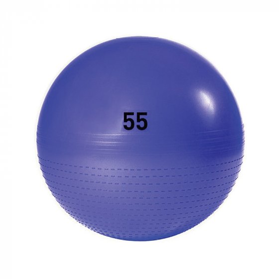 exercise ball nz