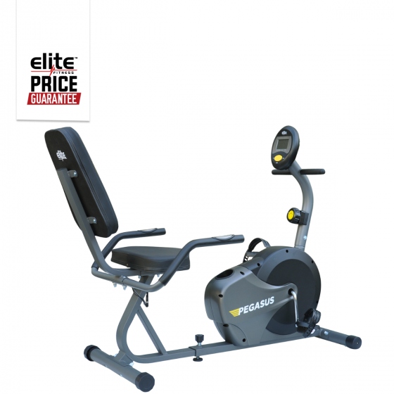 Elite Pegasus Recumbent Exercycle Elite Fitness Nz Elite Fitness Nz