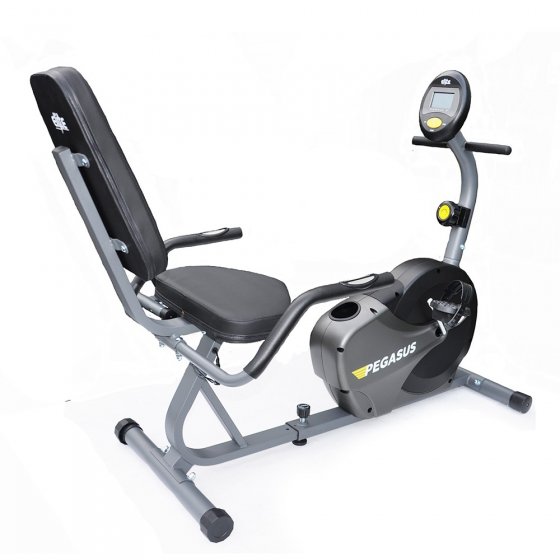 Pegasus Recumbent Hire Exercycle Or Similar Elite Fitness Nz Elite Fitness Nz