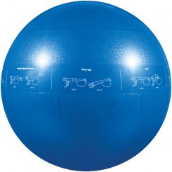 PROBALL SWISSBALL 55CM BLUE