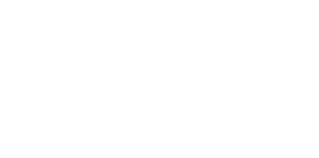 FITVIBE