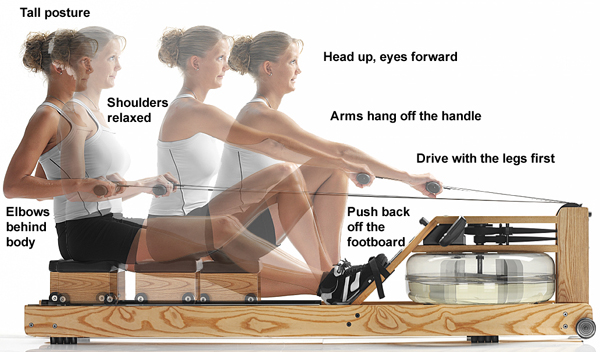 Rowing Machine Workout Guide Elite