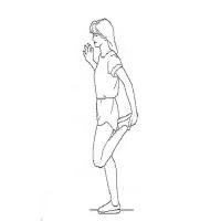 Quadriceps Stretches