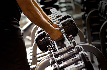 Bars, Plates & Dumbbells Workout Guide